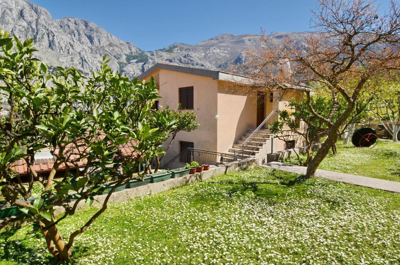 Apartments Andrija Kotor Exteriér fotografie