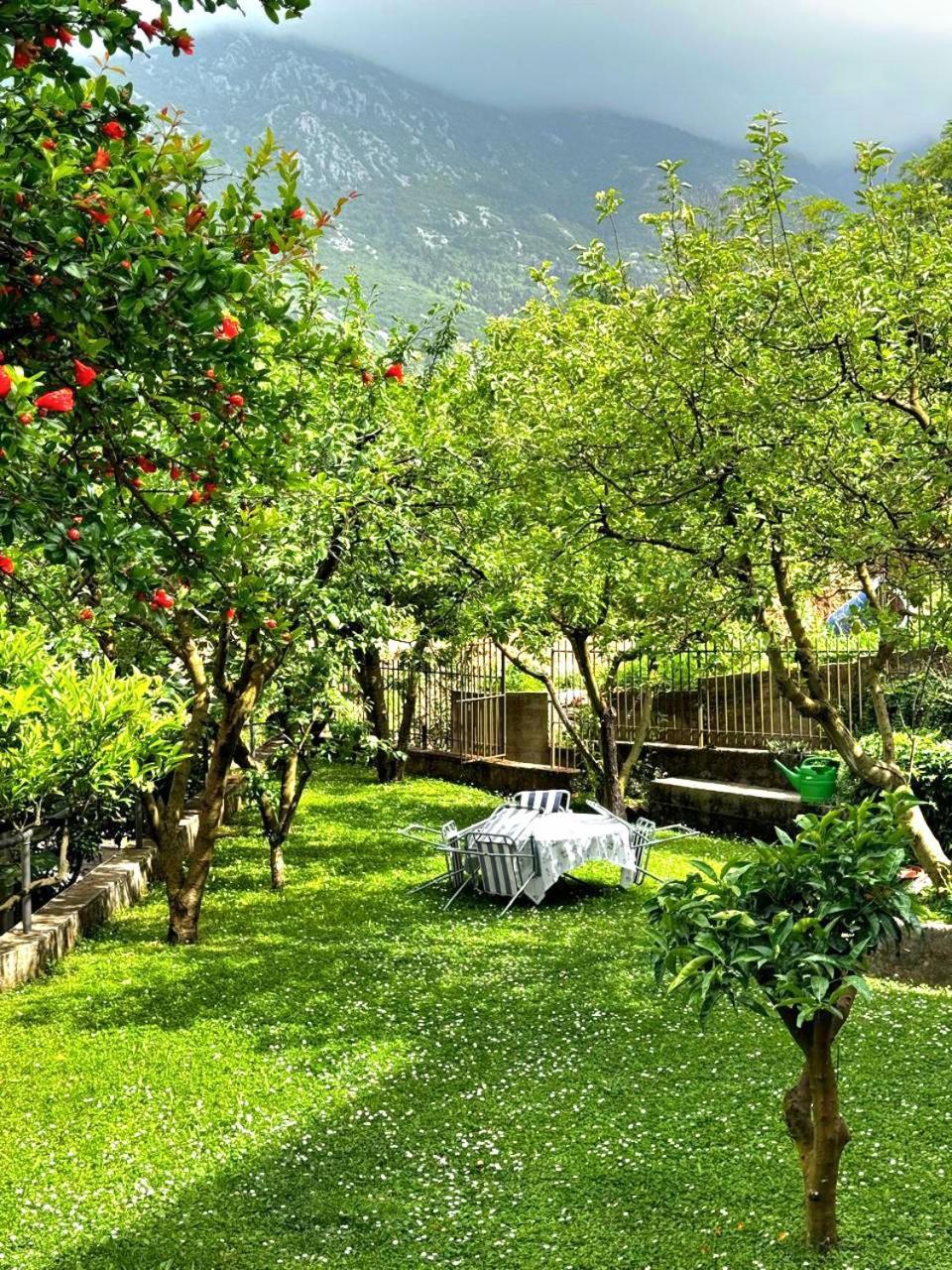 Apartments Andrija Kotor Exteriér fotografie